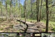 Arboretum w Kudypach w Google Street View